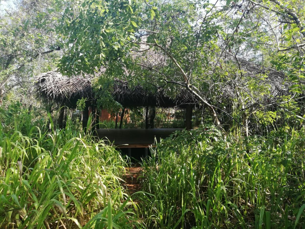 Kuwera Eco Lodge Sigiriya Exterior photo